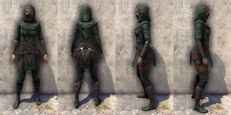 File:ON-item-armor-Assassins League Light Jerkin Female.jpg