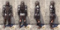 ON-item-armor-Exile's Revenge Light Jerkin Male.jpg