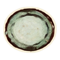 OBR-icon-dish-Tan Plate.png