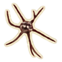 OBR-icon-ingredient-Aster Bloom Core.png