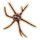 OBR-icon-ingredient-Aster Bloom Core.png