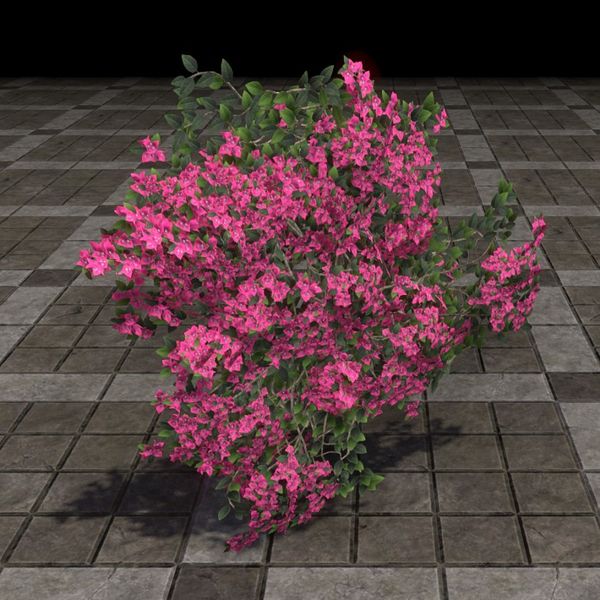 File:ON-furnishing-Flower Patch, Summertide.jpg