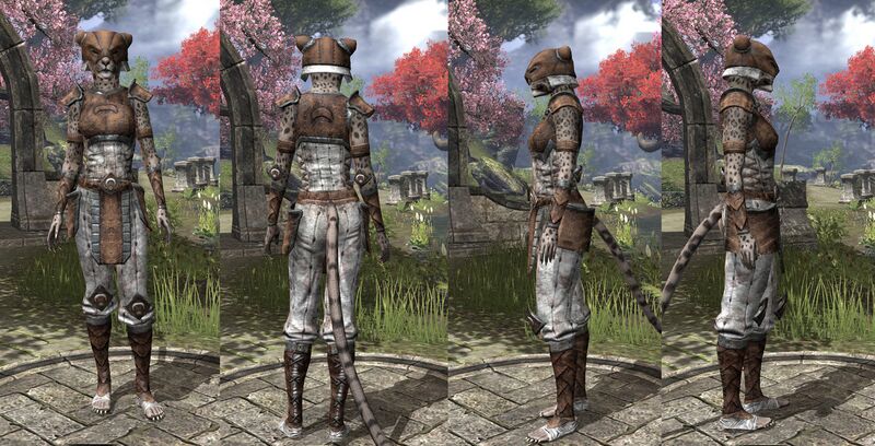 File:ON-item-armor-Khajiit Medium 1 Female.jpg