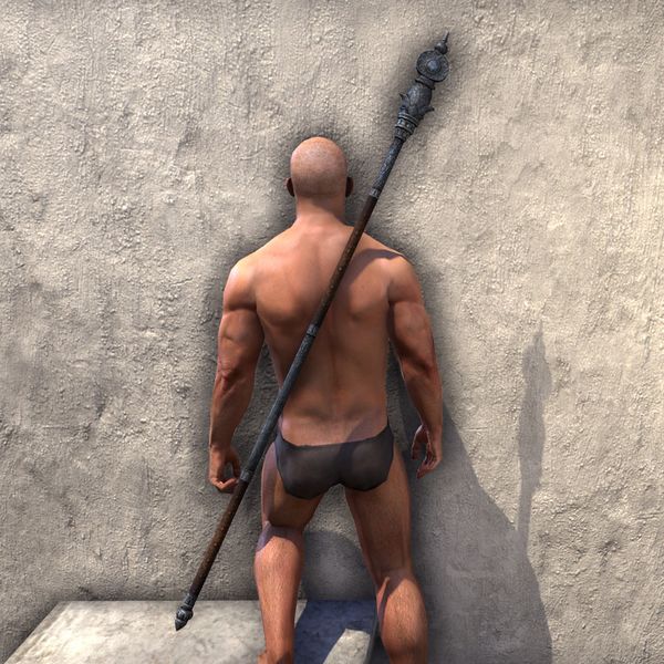 File:ON-item-weapon-Yokudan Staff 1.jpg