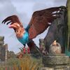 ON-pet-Tenmar Magpie.jpg
