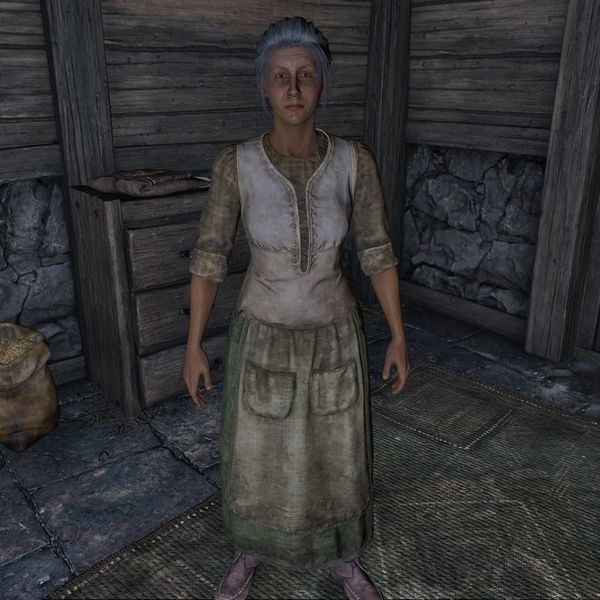 File:OBR-npc-Erline Lirrian.jpg