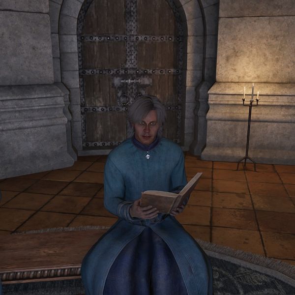 File:OBR-npc-Raminus Polus 02.jpg