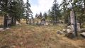 Thumbnail for version as of 03:35, 24 May 2025