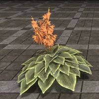 ON-furnishing-Hosta, Orange.jpg