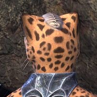 ON-hairstyle-Pact Veteran's Battle Crest (Khajiit) 02.jpg