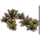 ON-icon-furnishing-Ferns, Desert Cluster.png