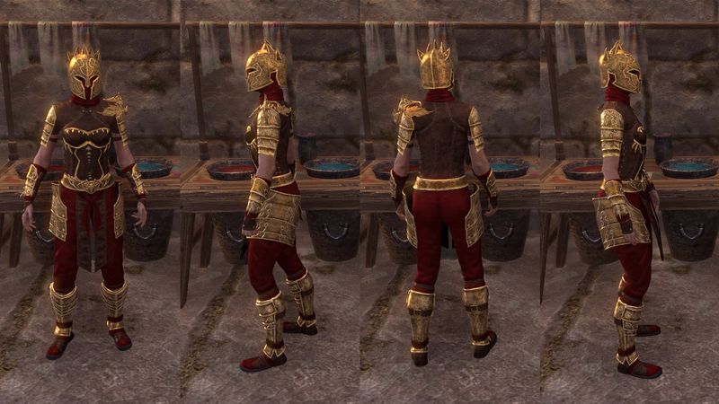 File:ON-item-armor-Dragonguard Berserker Female.jpg