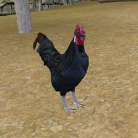 TD3-creature-Rooster.jpg