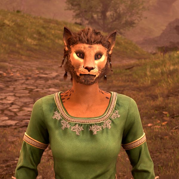 File:OBR-npc-Dro'Nahrahe.jpg
