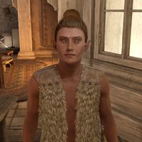 OBR-npc-Enilroth 02.jpg