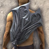 ON-item-armor-Sapiarch Shield.jpg