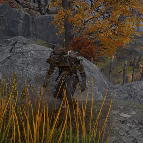 File:ON-npc-Bitterfish Fire Mage (quest).jpg