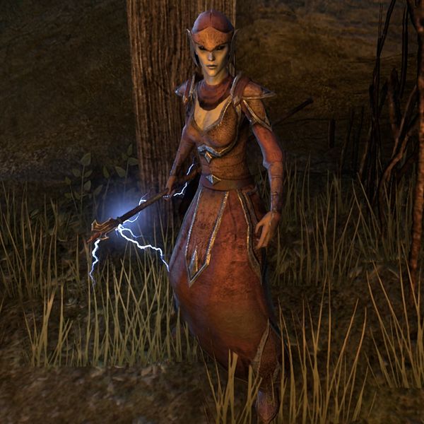 File:ON-npc-Pact Tempest(Roots of Silvenar).jpg