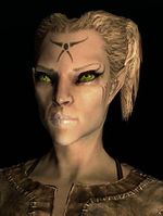 SR-race-High Elf (female).jpg