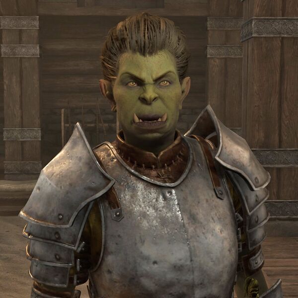 File:OBR-npc-Bumph gra-Gash 02.jpg