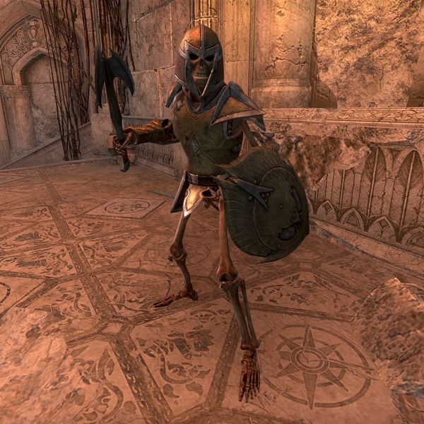 File:ON-npc-Corelanya Vigilant.jpg