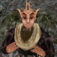 TR3-npc-Amranor.jpg