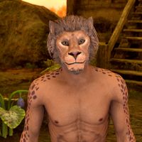 OBR-npc-J'zidzo (Mania) 02.jpg