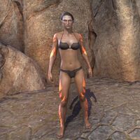 ON-body marking-Dragonclash Body Marking.jpg