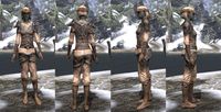 ON-item-armor-Dark Elf Light Jerkin 1 Female.jpg