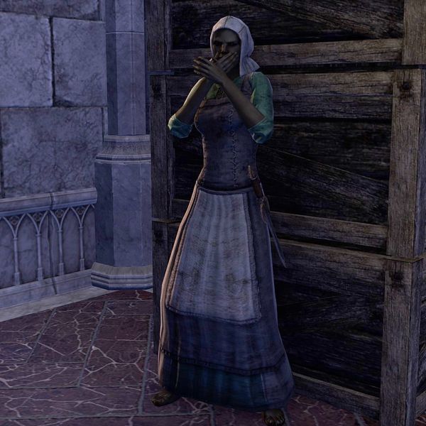 File:ON-npc-Boral.jpg