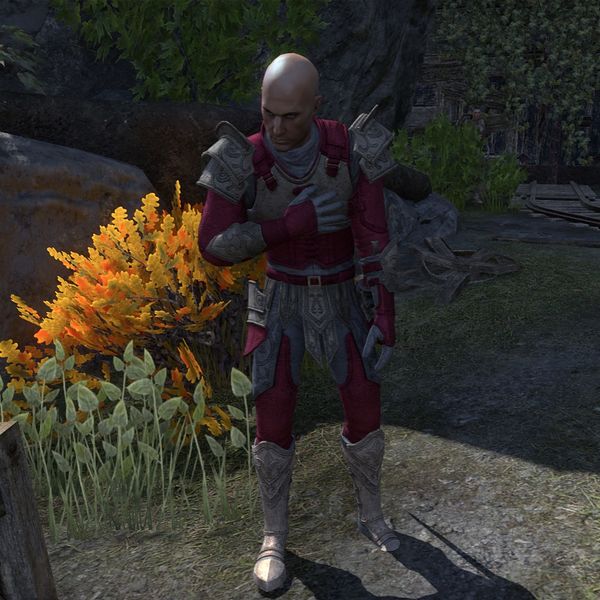 File:ON-npc-Legionary Caepio.jpg