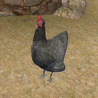 TD3-creature-Chicken 01.jpg