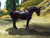 OB-creature-Bay Horse.jpg