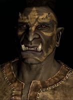 SR-race-Orc (male).jpg