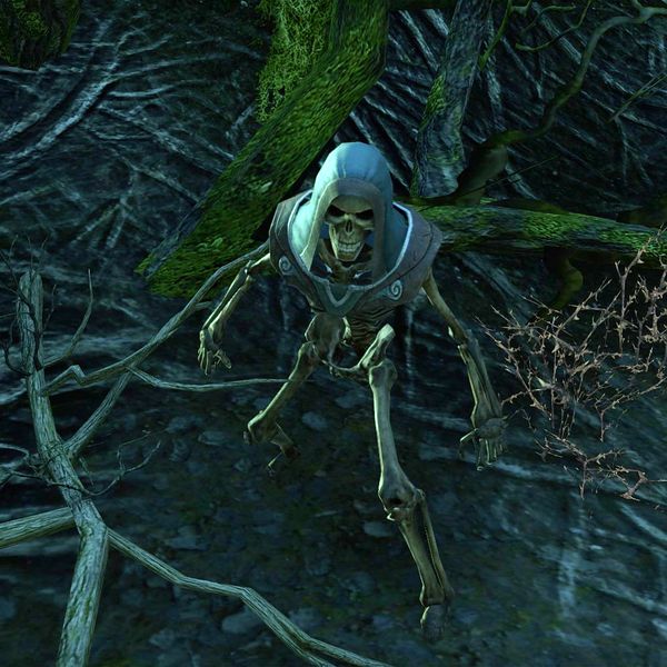 File:ON-npc-Skeleton (Bad Man's Hallows).jpg