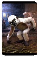 ON-card-Sugarsnow Monkey.png