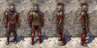 ON-item-armor-Dragonguard Medium Male.jpg