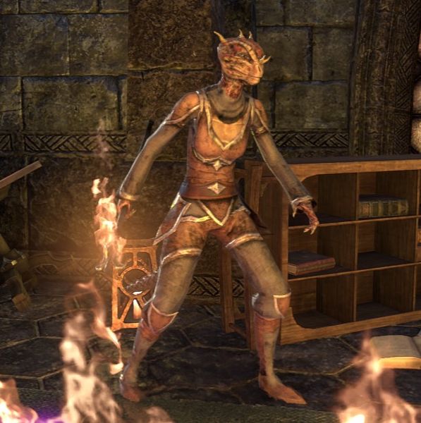 File:ON-npc-Alchemist (Volek House).jpg