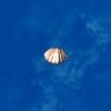 SRMOD-LOTD-tide-scallop shell-taffy striped.jpg