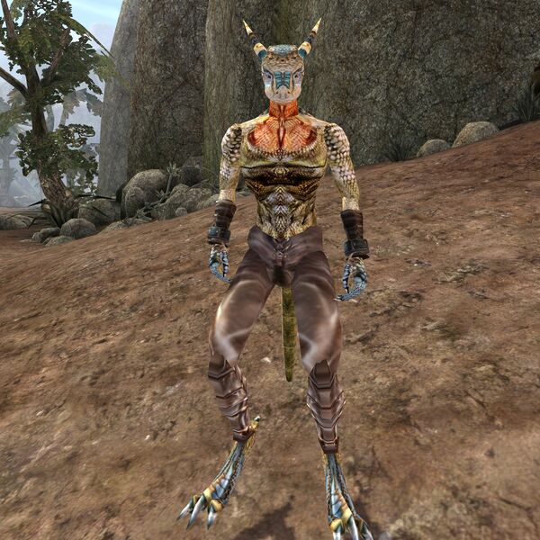 File:TR3-npc-Fin-Tei.jpg