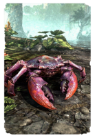 ON-card-Strid River Crab.png
