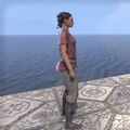 Thumbnail for version as of 20:01, 23 June 2025