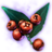 ON-icon-misc-Crimson Berries of Budding.png