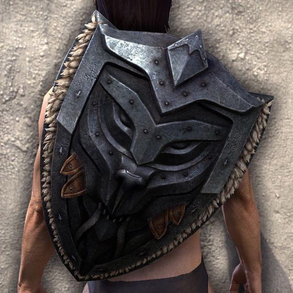 File:ON-item-armor-Skinchanger Shield.jpg