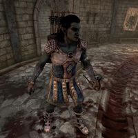 OBR-npc-Blue Team Gladiator.jpg