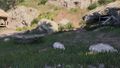 Thumbnail for version as of 12:40, 24 June 2025
