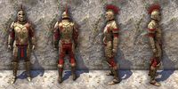 ON-item-armor-Dragonguard Heavy Male.jpg