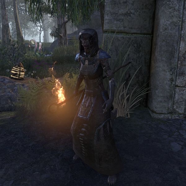 File:ON-npc-Sharp-Eye Firecaster.jpg