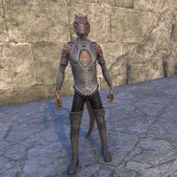 ON-costume-Holiday in Balmora Outfit (male).jpg