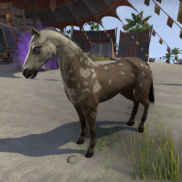 File:ON-creature-Chansho.jpg